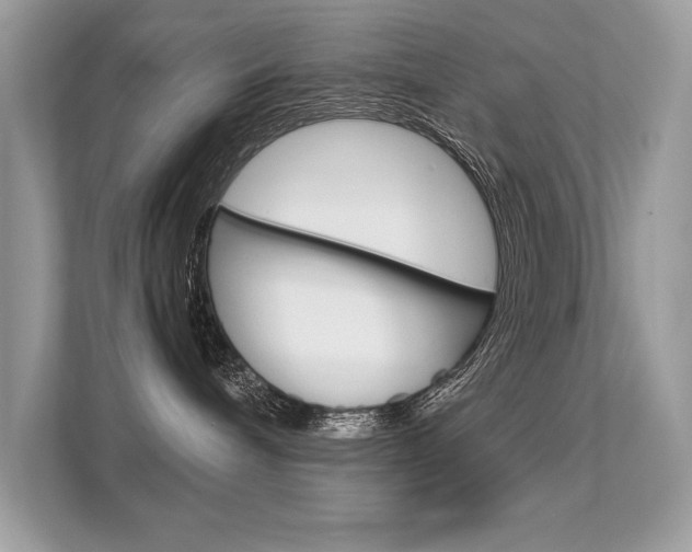 X0000112410240200908141032