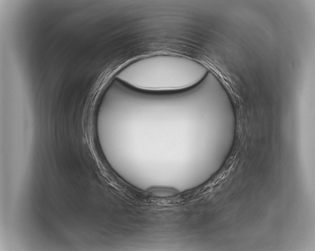 X0000112410241200908141031