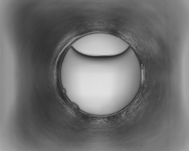 X0000112410243200908141031