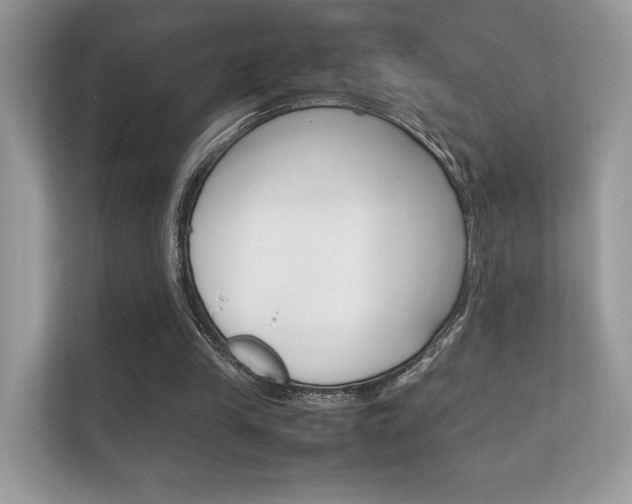 X0000112410245200908141031