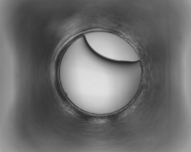 X0000112410247200908141031