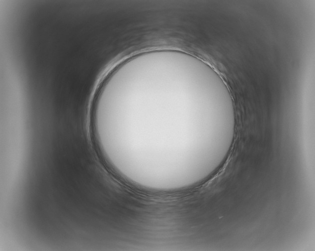 X0000112410248200908141031