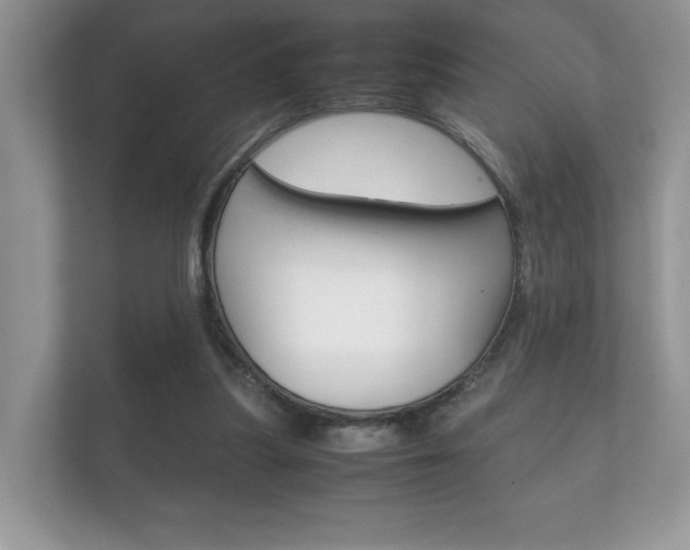 X0000112410251200908141031