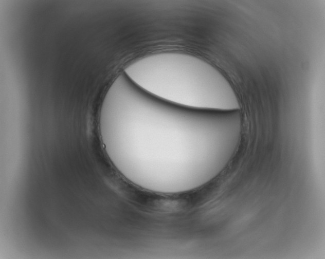 X0000112410255200908141031