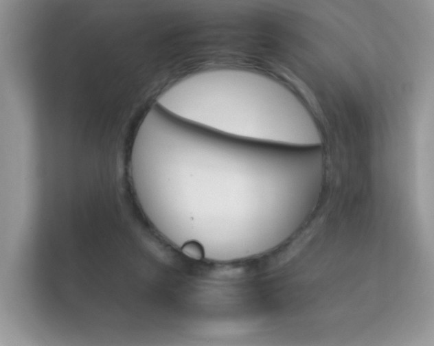 X0000112410257200908141031