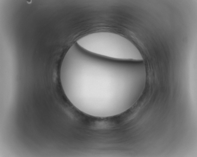 X0000112410259200908141031