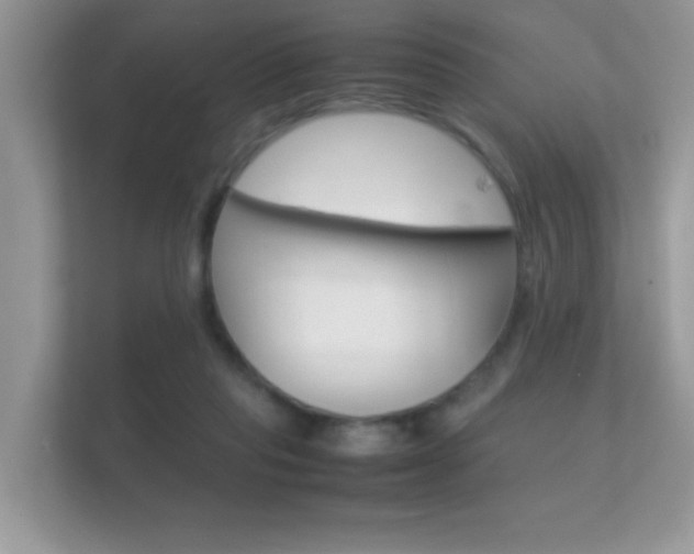 X0000112410261200908141031