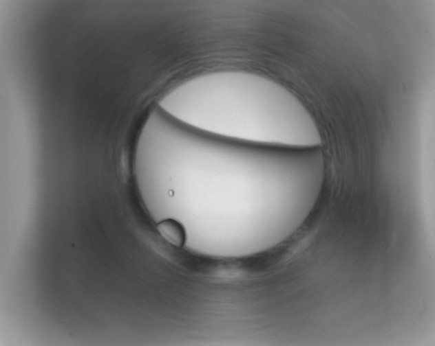 X0000112410262200908141031