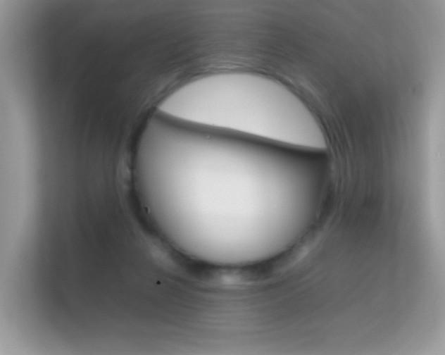 X0000112410264200908141031