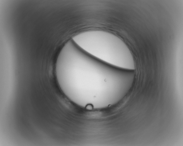 X0000112410266200908141031