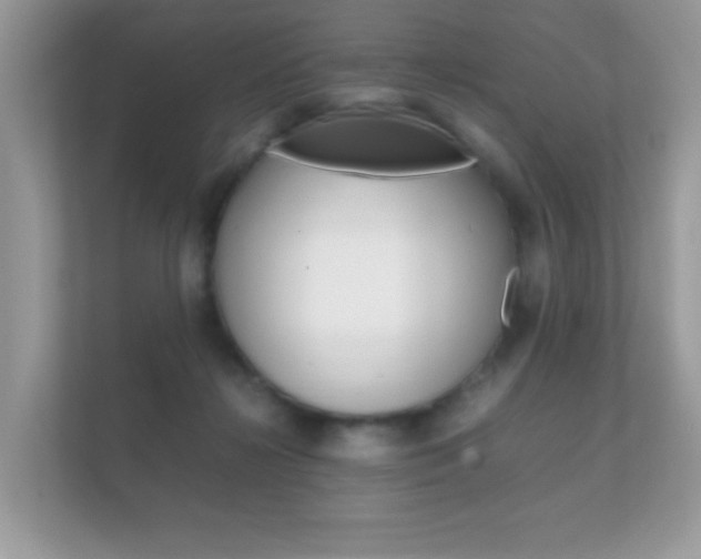 X0000112410268200908141031