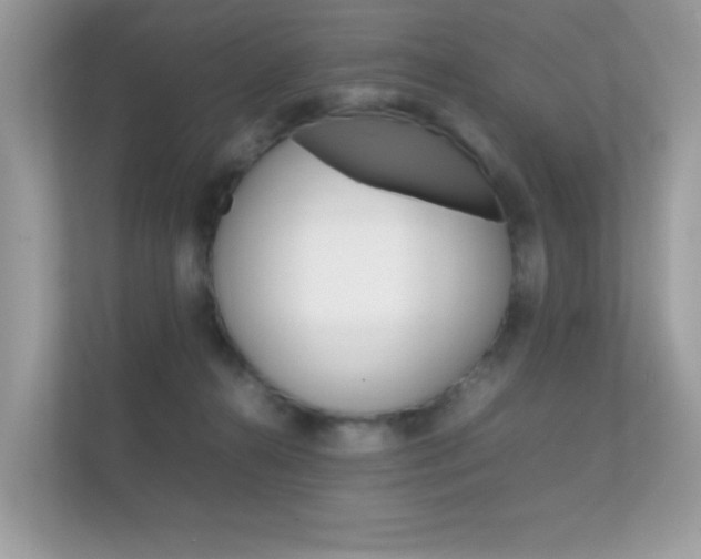 X0000112410272200908141031