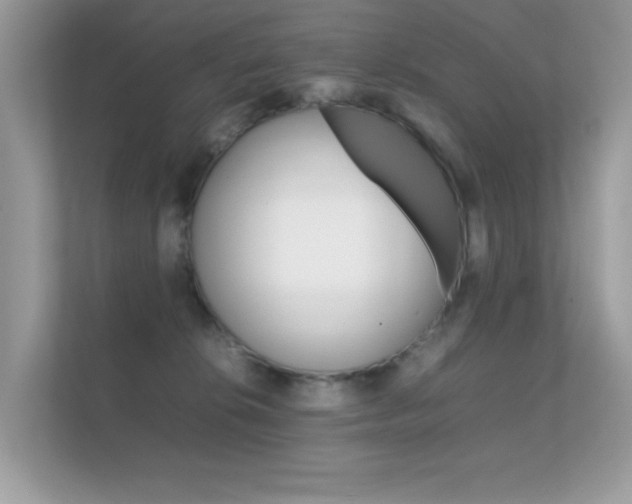 X0000112410276200908141031