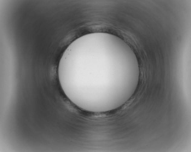 X0000112410278200908141031