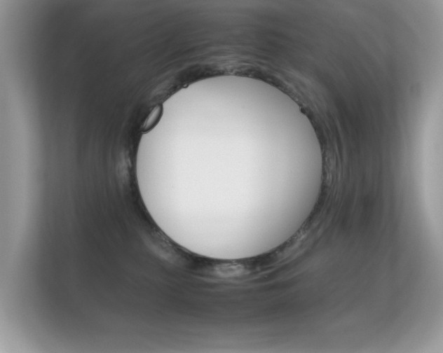 X0000112410279200908141031