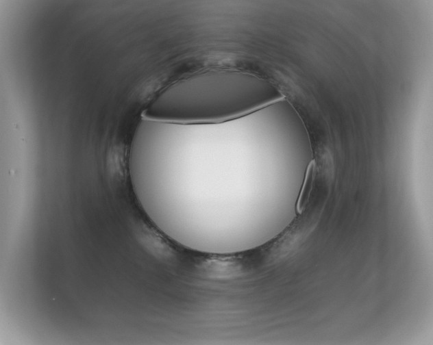 X0000112410280200908141031