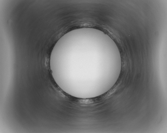 X0000112410281200908141031