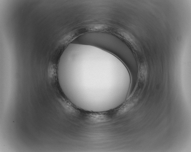 X0000112410284200908141031