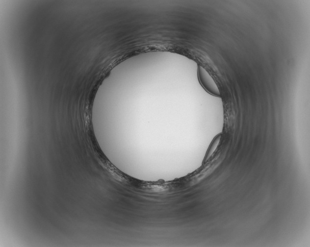 X0000112410285200908141032