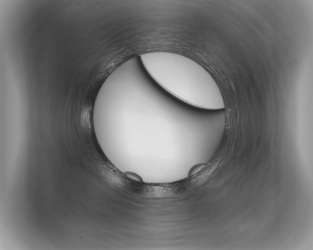 X0000112410286200908141032