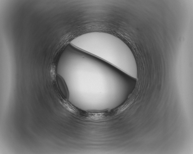 X0000112410288200908141032