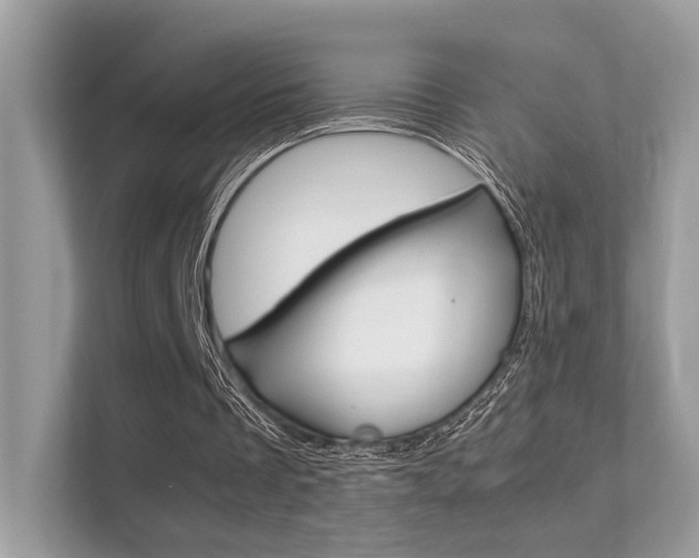 X0000112410289200908141031