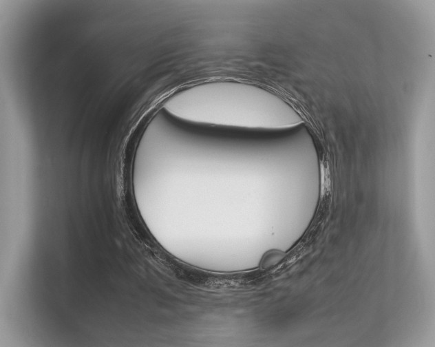 X0000112410291200908141031