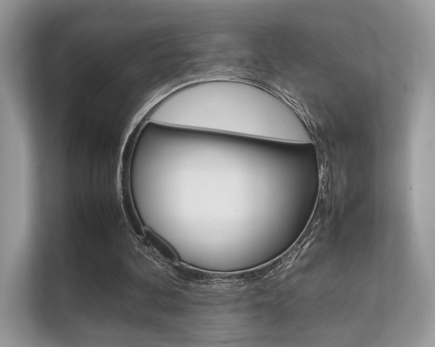 X0000112410292200908141031
