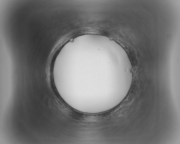 X0000112410293200908141031
