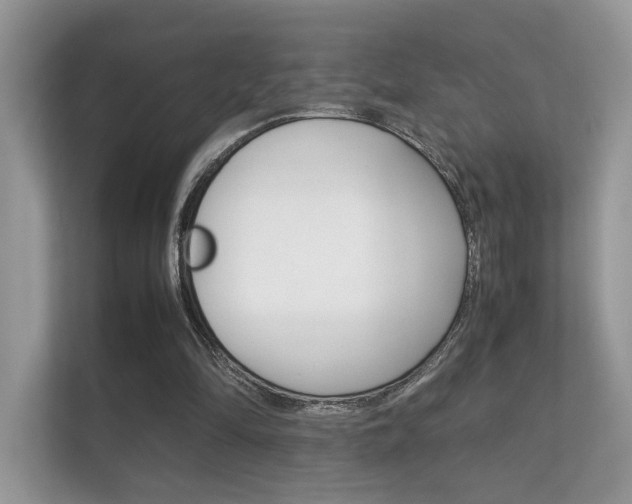X0000112410294200908141031