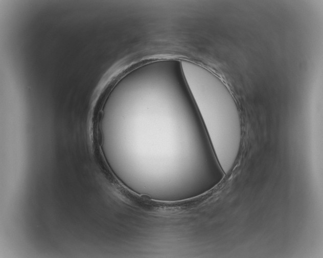 X0000112410296200908141031