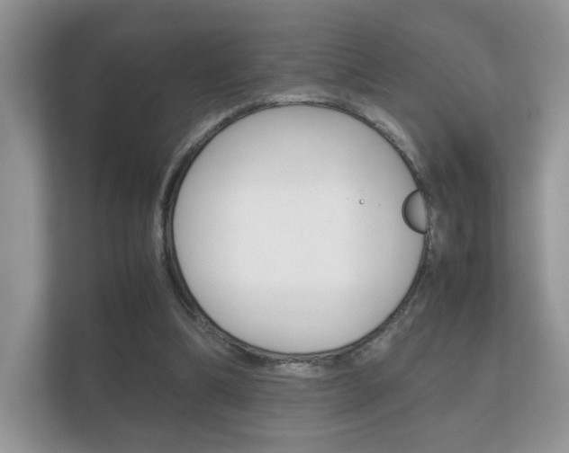 X0000112410298200908141031