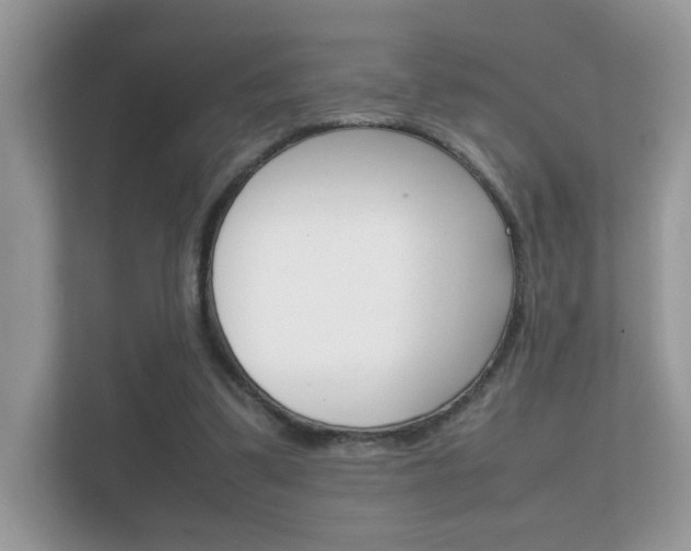 X0000112410299200908141031