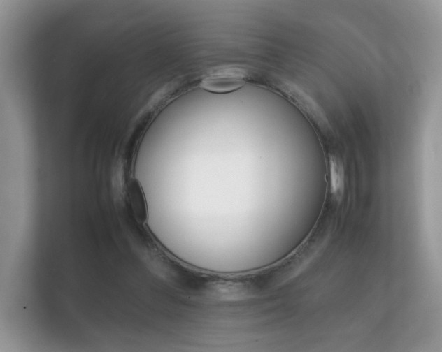 X0000112410300200908141031