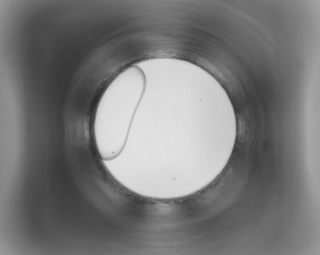 X0000112410302200908141031