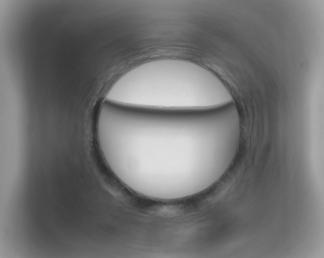X0000112410303200908141031