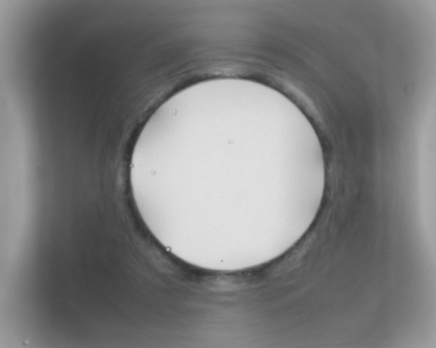 X0000112410305200908141031