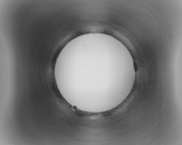 X0000112410306200908141031