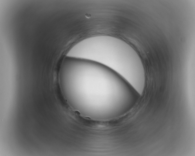 X0000112410308200908141031