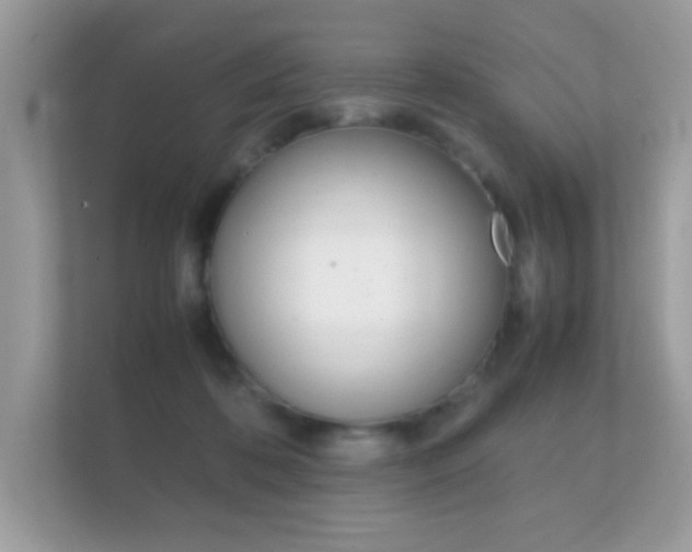 X0000112410316200908141031