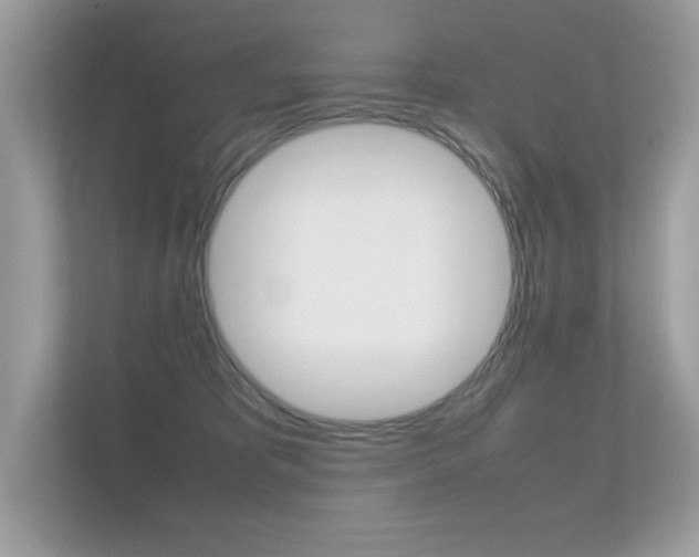 X0000112410325200908141030