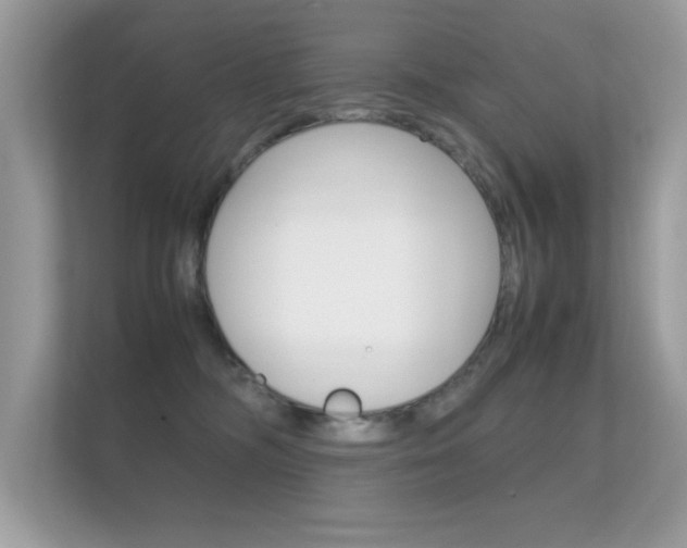 X0000112410326200908141030