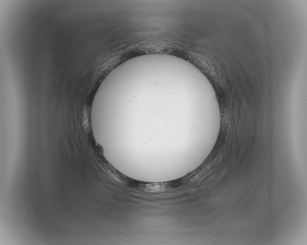 X0000112410335200908141030