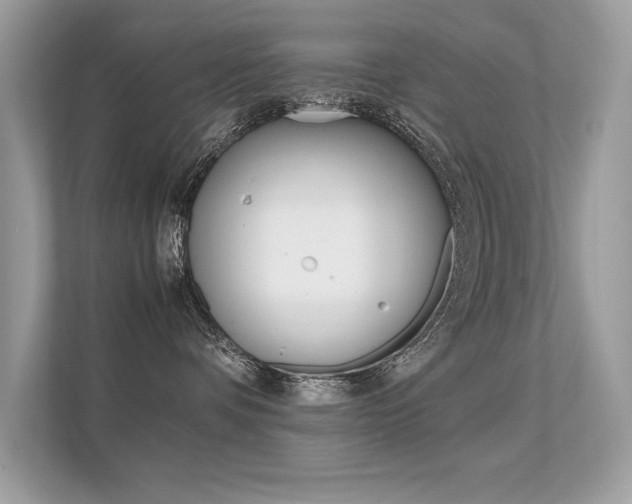 X0000112410336200908141030