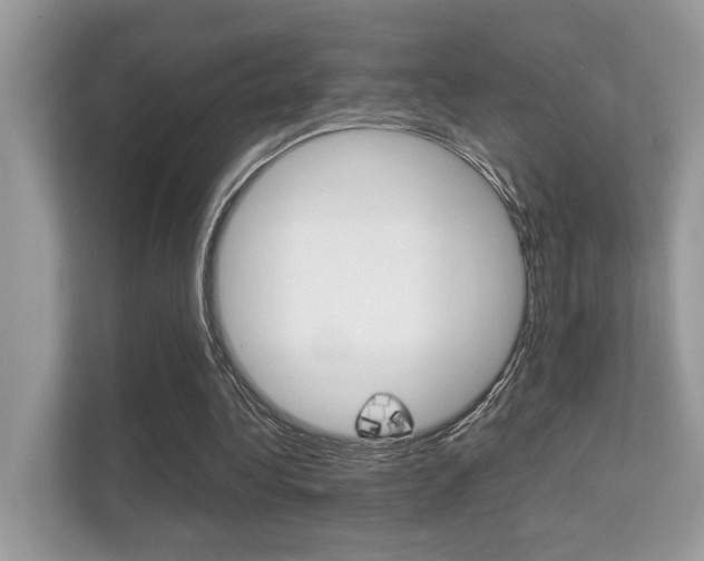 X0000112410340200908141030