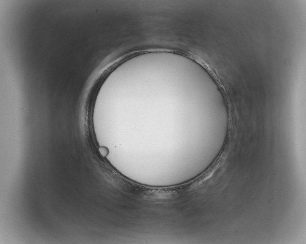 X0000112410343200908141030