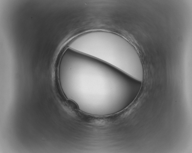 X0000112410344200908141030