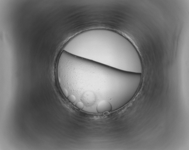 X0000112410345200908141030