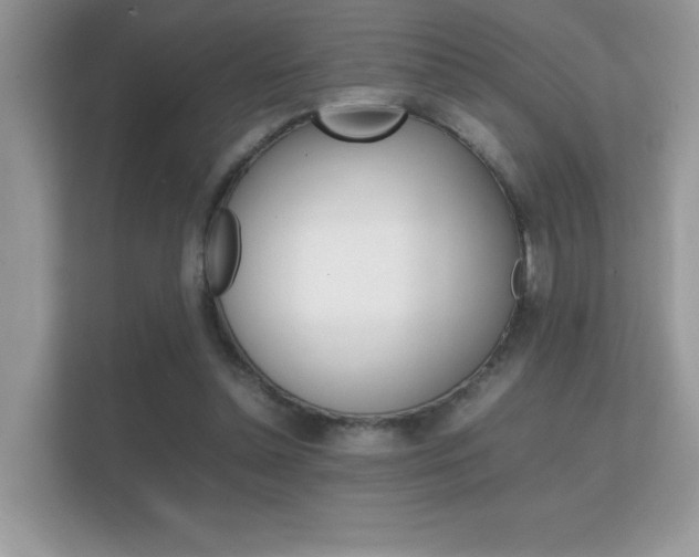 X0000112410348200908141030