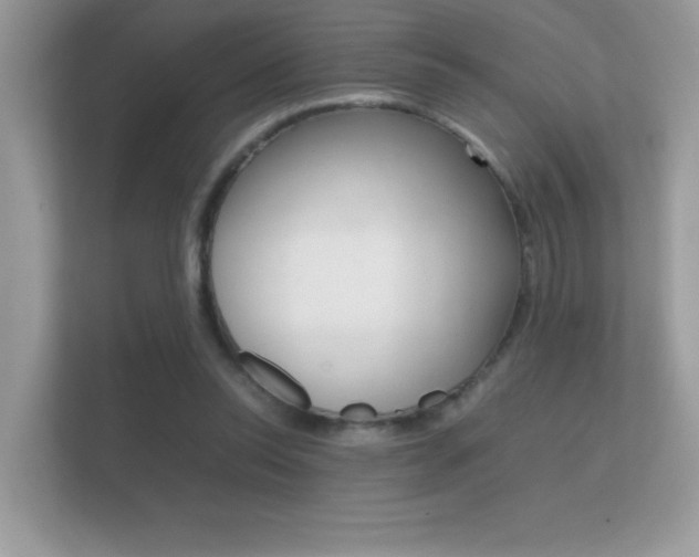 X0000112410350200908141030